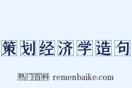 策划经济学造句是什么意思的图片